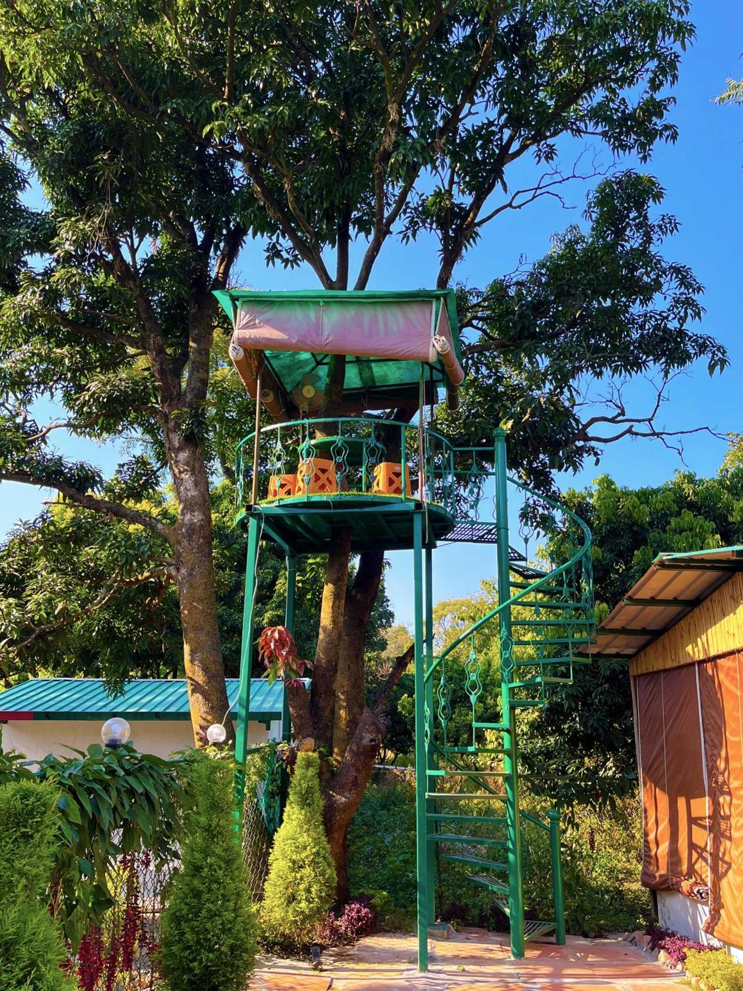 Hotel O Royal Tree Cafe And Resort Dehradun Exterior foto